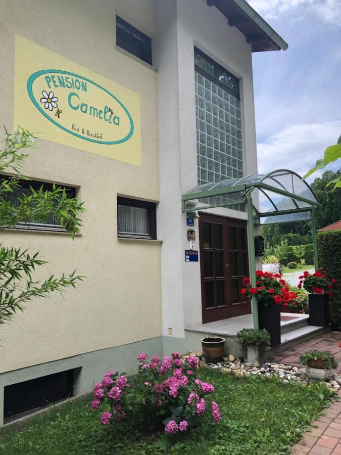 Haus Camelia Bed and Breakfast Bad Tatzmannsdorf Εξωτερικό φωτογραφία
